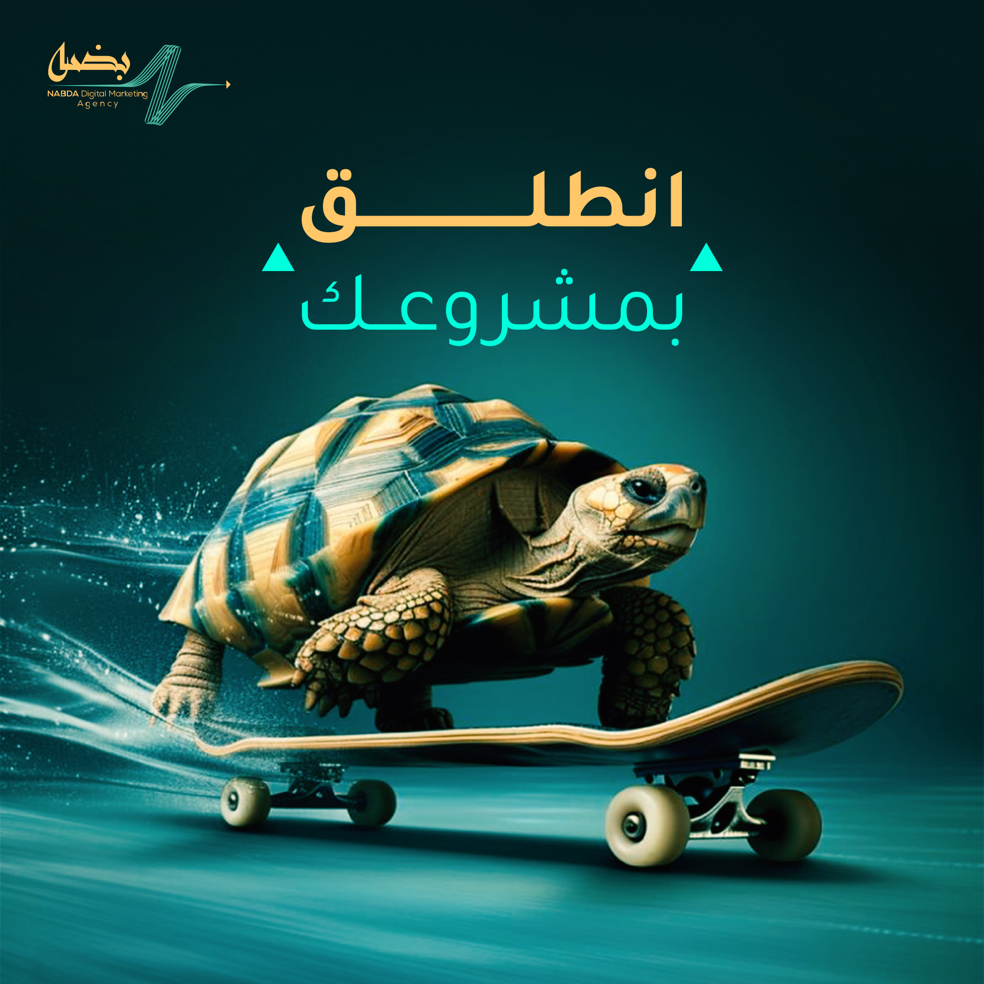 صورة 3